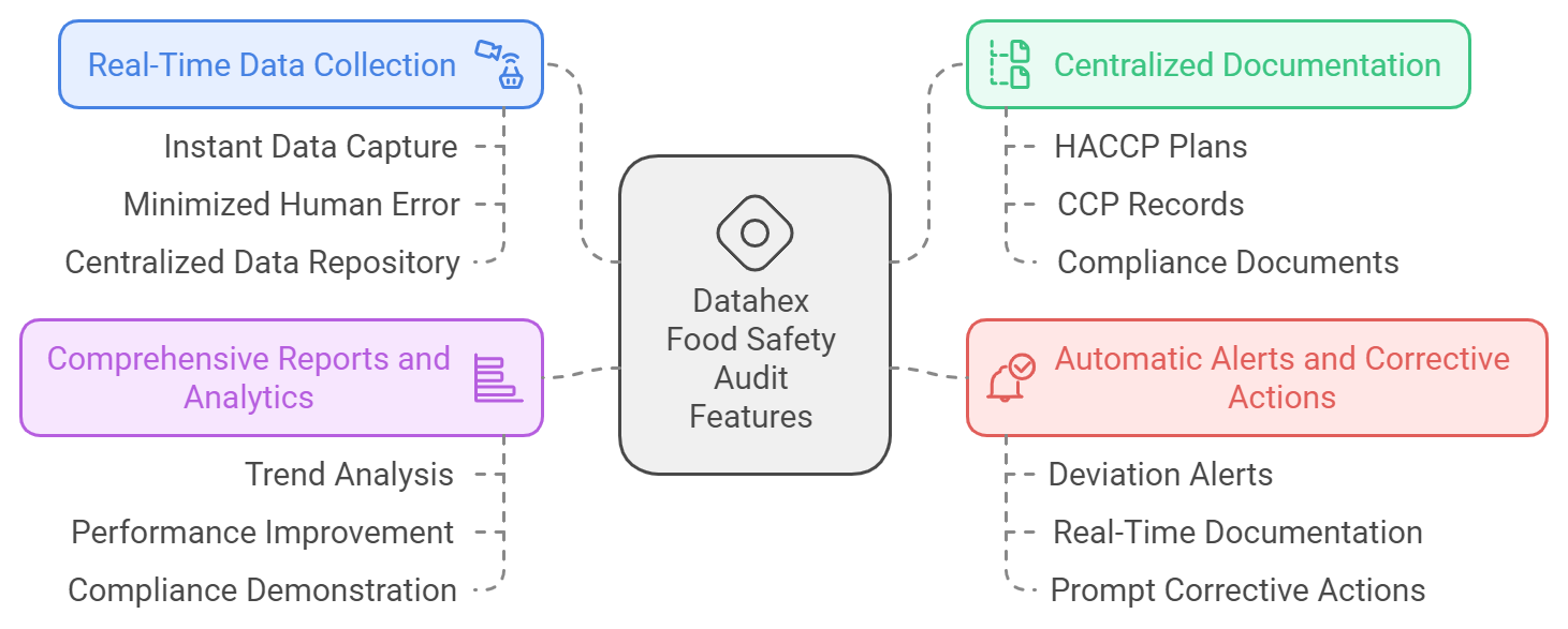 Datahex Audits - EN