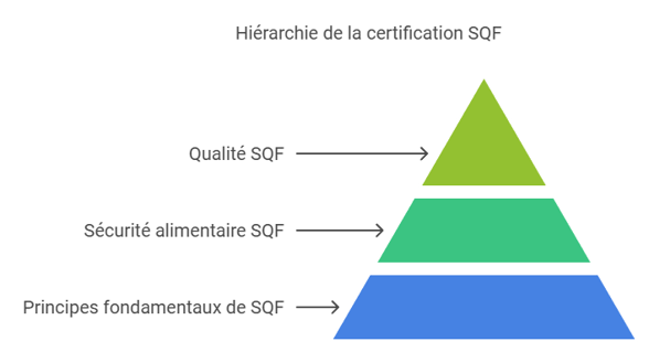 SQF Certification Hierarchy - FR